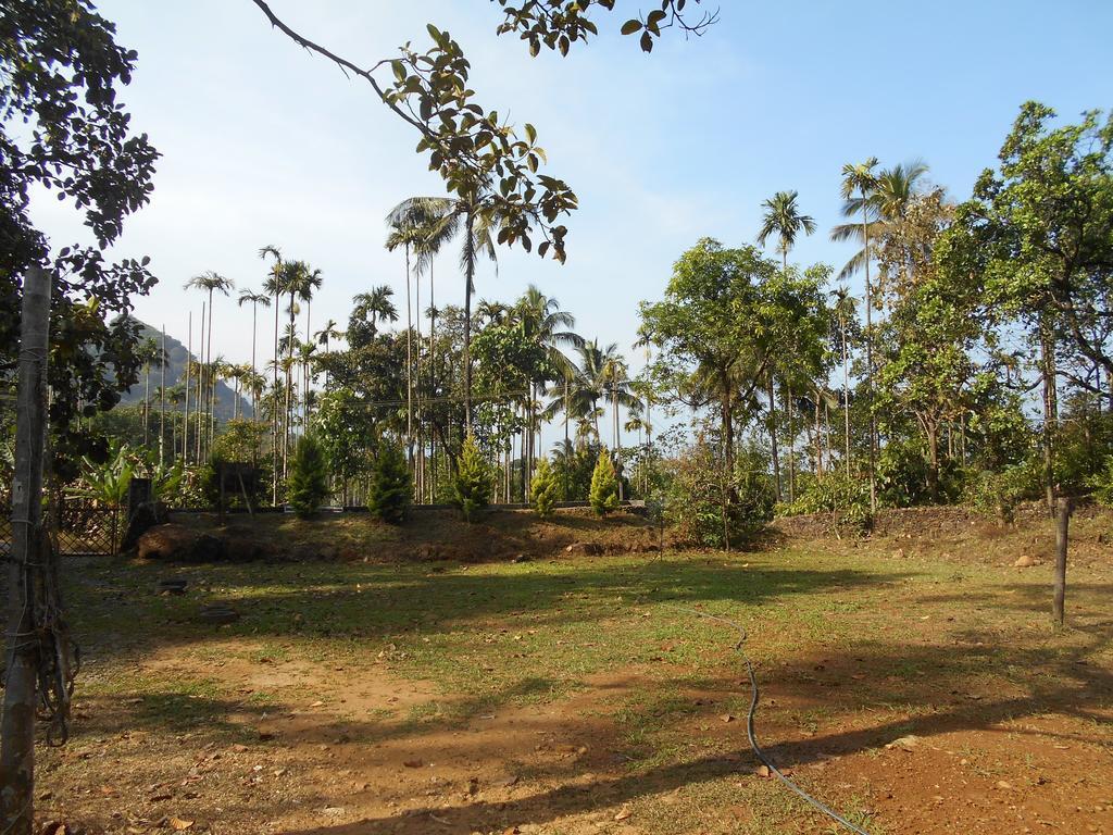 White Water Woods Resort Vythiri Exterior foto